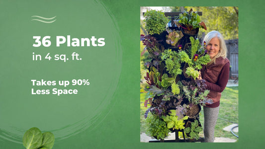 Image text says "36 Plants in 4 sq. ft., Takes up 90% less space. Right side shows an image of the Planted Wall vertical gardening system.