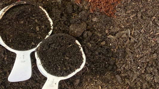Worm Castings and Soil