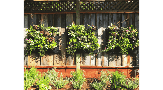 Impress your Guests at your next Summer BBQ with a Vertical Garden Built by You!