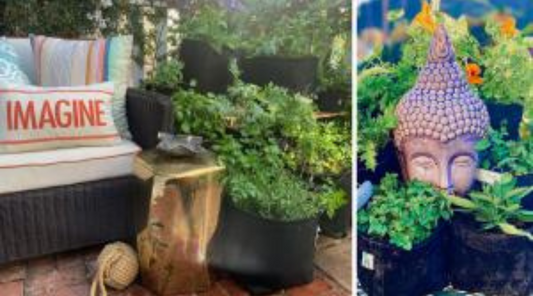 Top 6 Ways to Decorate Like a Boho Pro