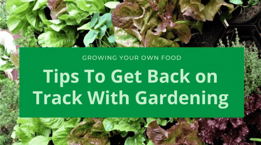 leafy-greens banner