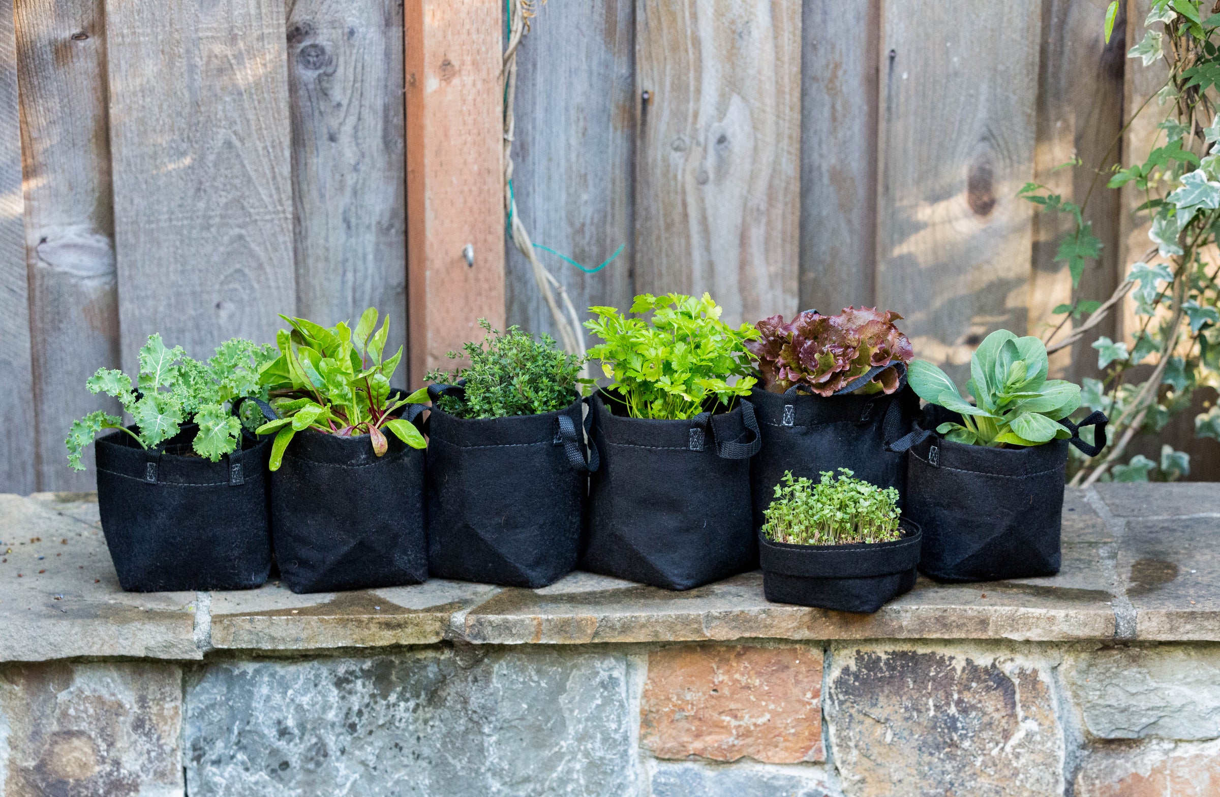 Planted Container Gardening Systems