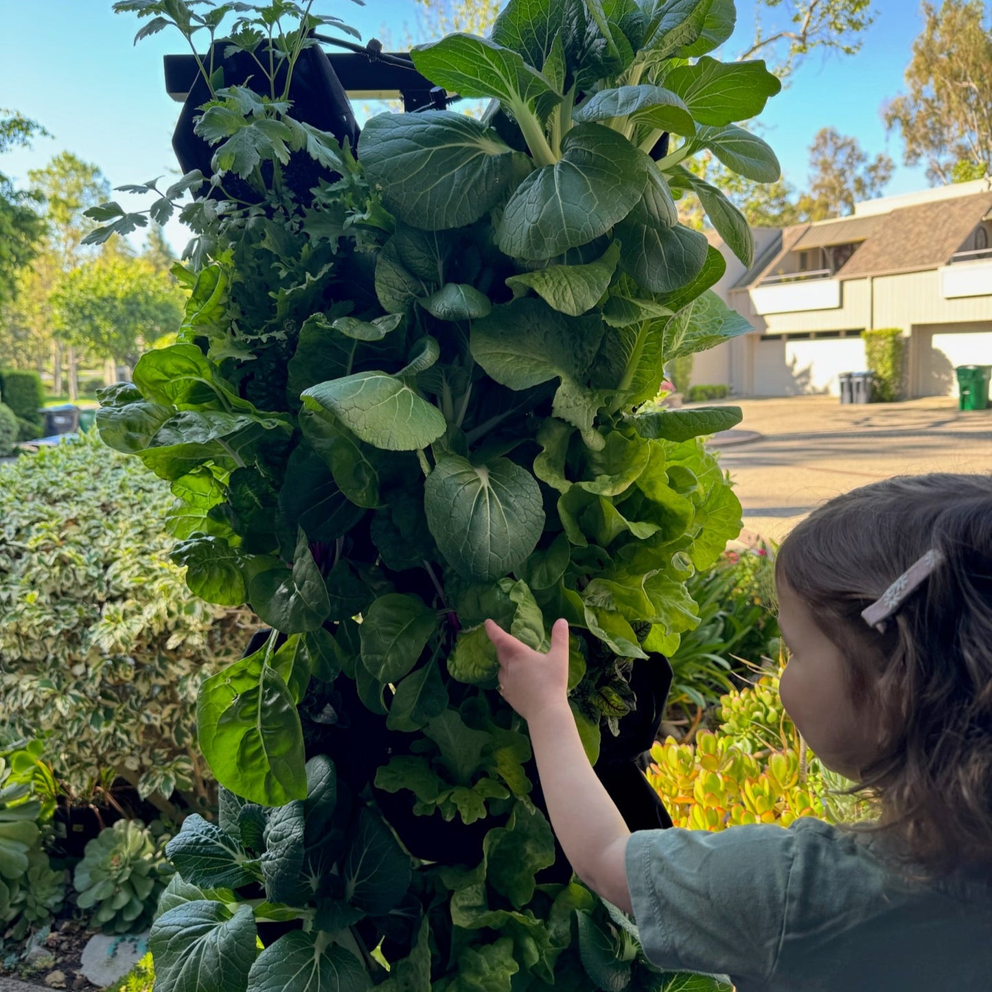 The Planted Wall