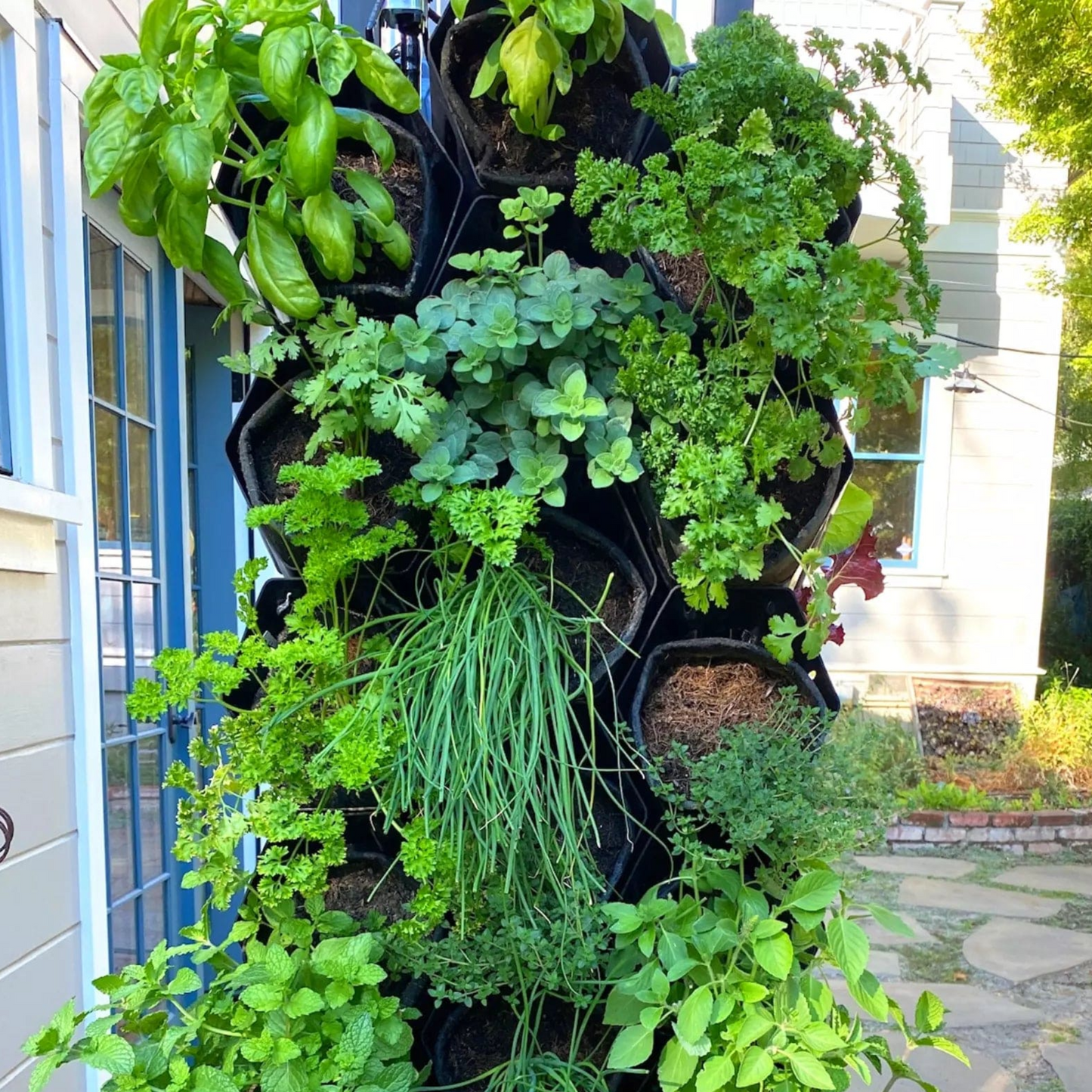 18 Organic Herb & Floral Varieties + Organic Soil (Starter Bundle for Planted Wall)