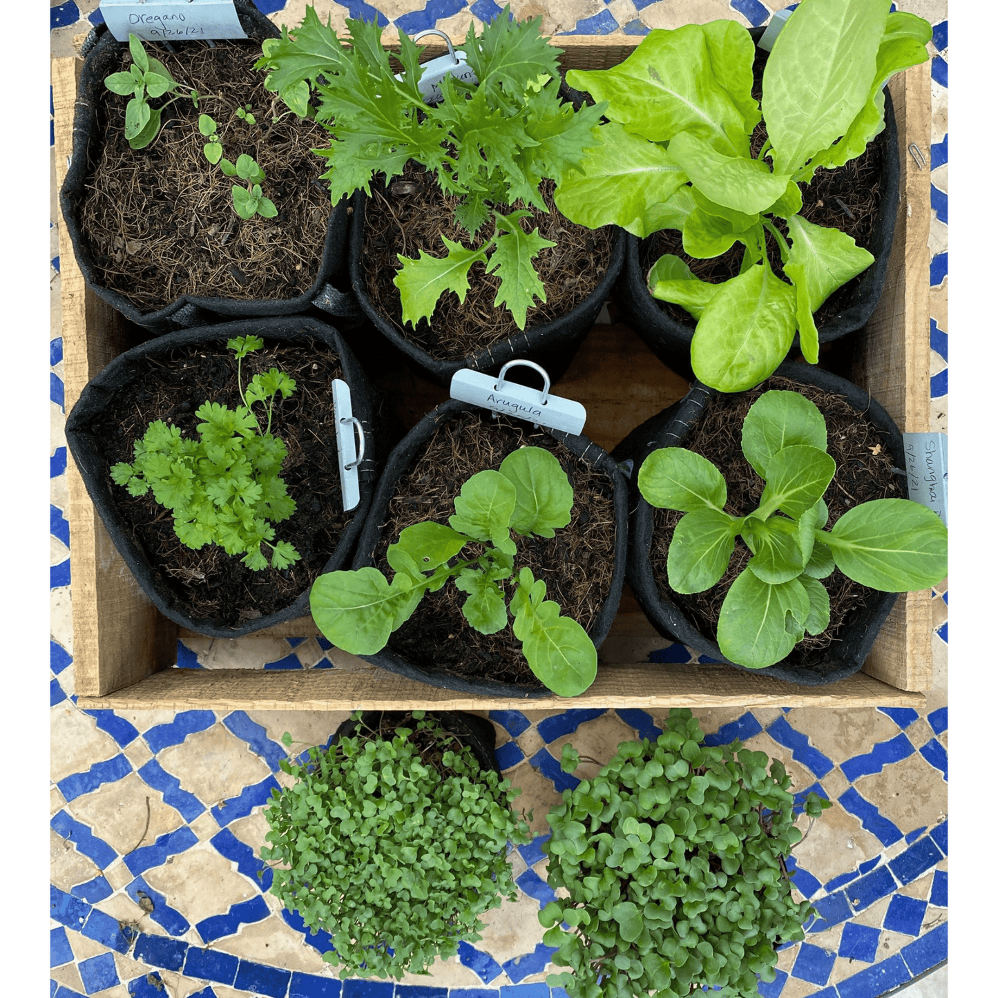 Seasonal Garden Kit + Seasonal Gardening and Cooking Digital Course