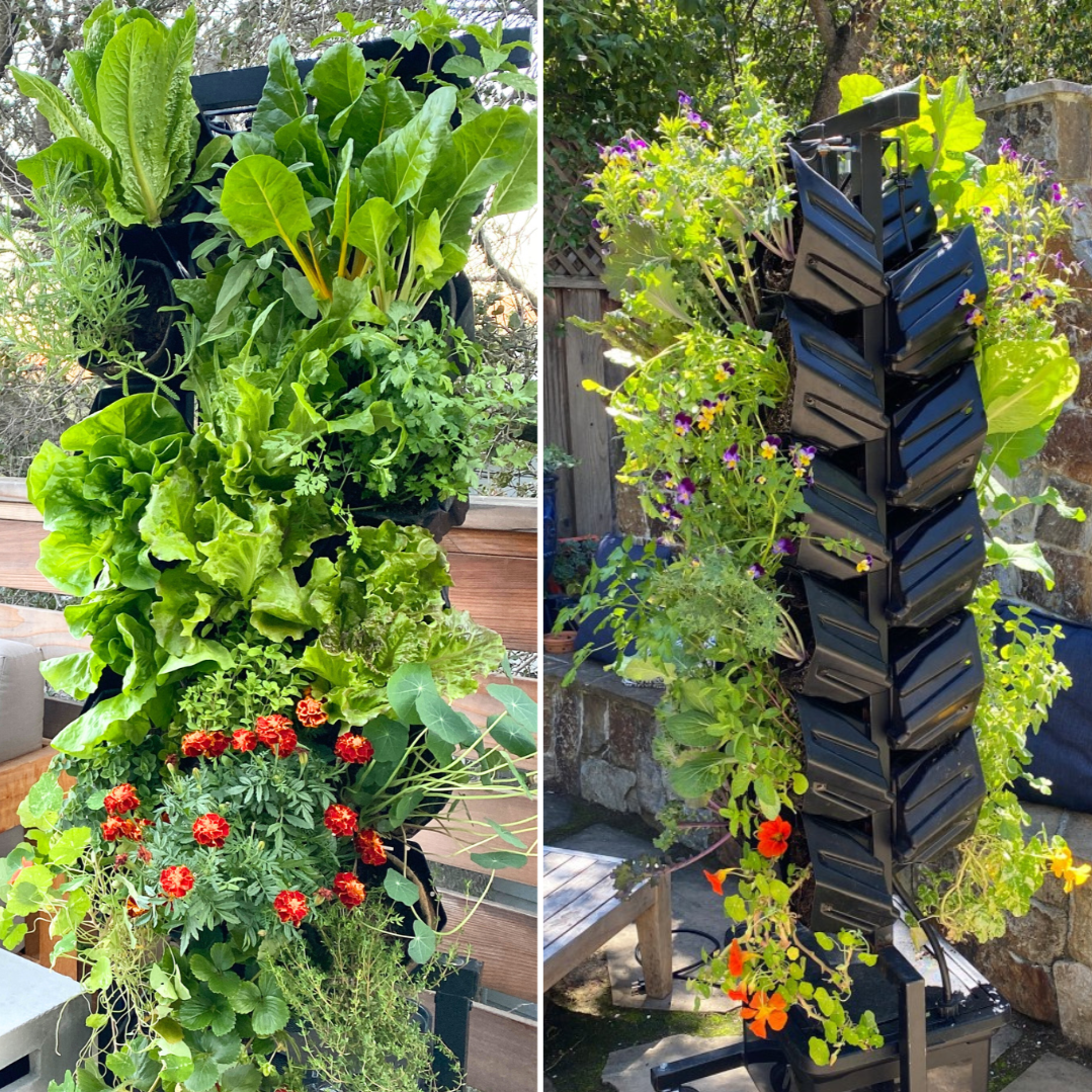 The Planted Wall