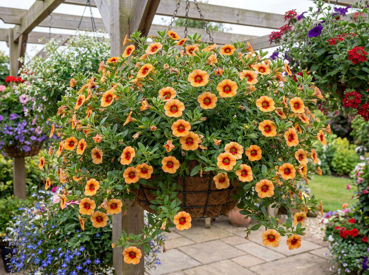 Orange Red Eye MiniFamous Neo Calibrachoa