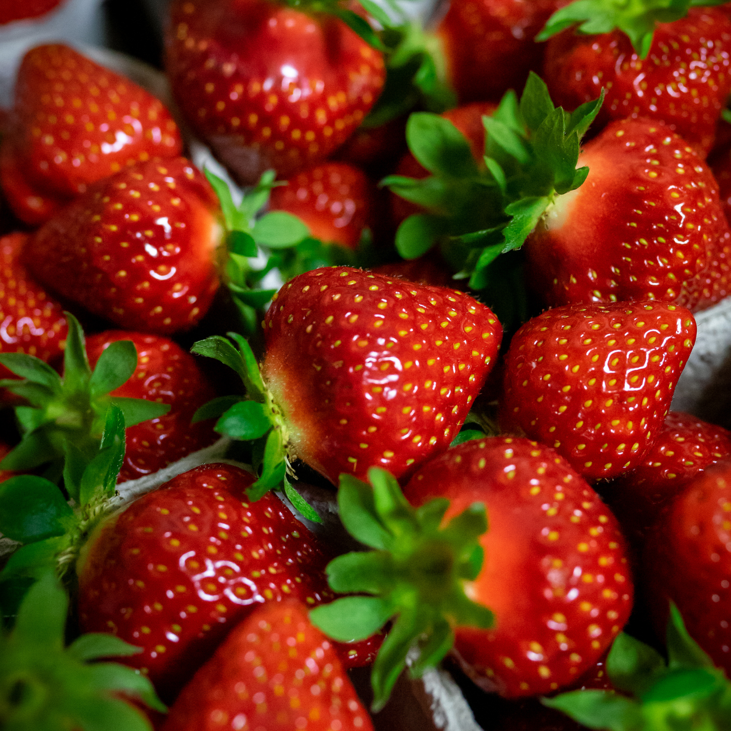 Eversweet Strawberry