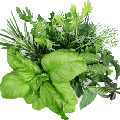 Herb & Edible Floral 6-Pack Garden Bundle