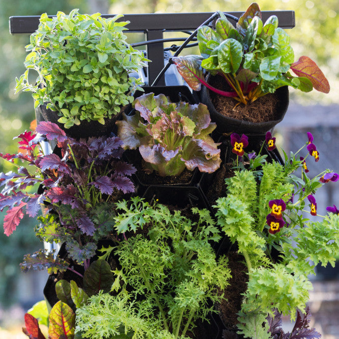 The Planted Wall