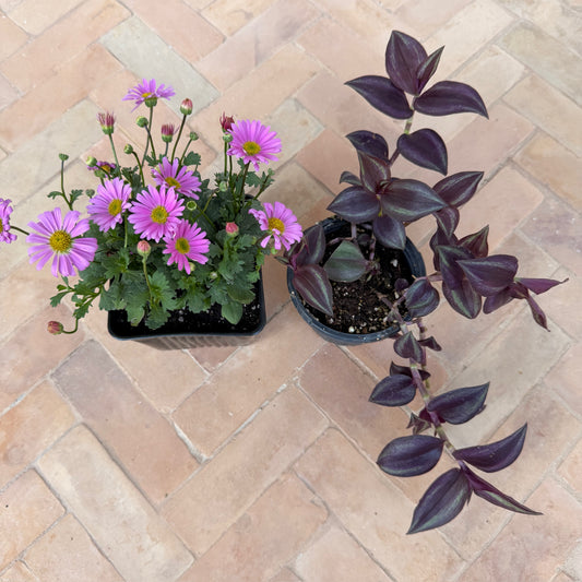 Gothic Monthly Floral Box