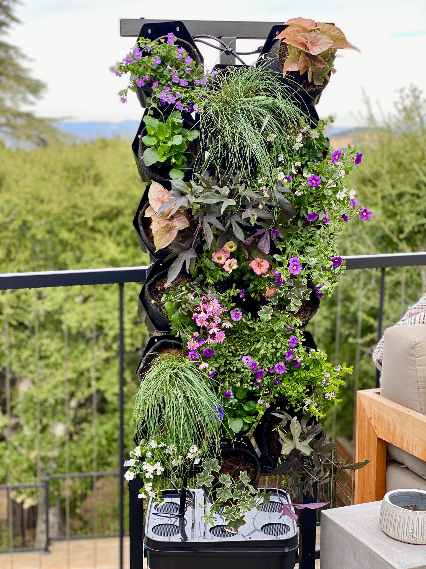 Cool Cottage Breeze Planted Wall Bundle