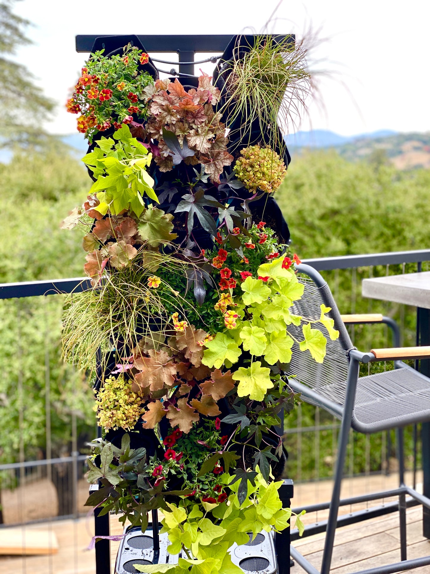 Vivid Warmth Planted Wall Bundle