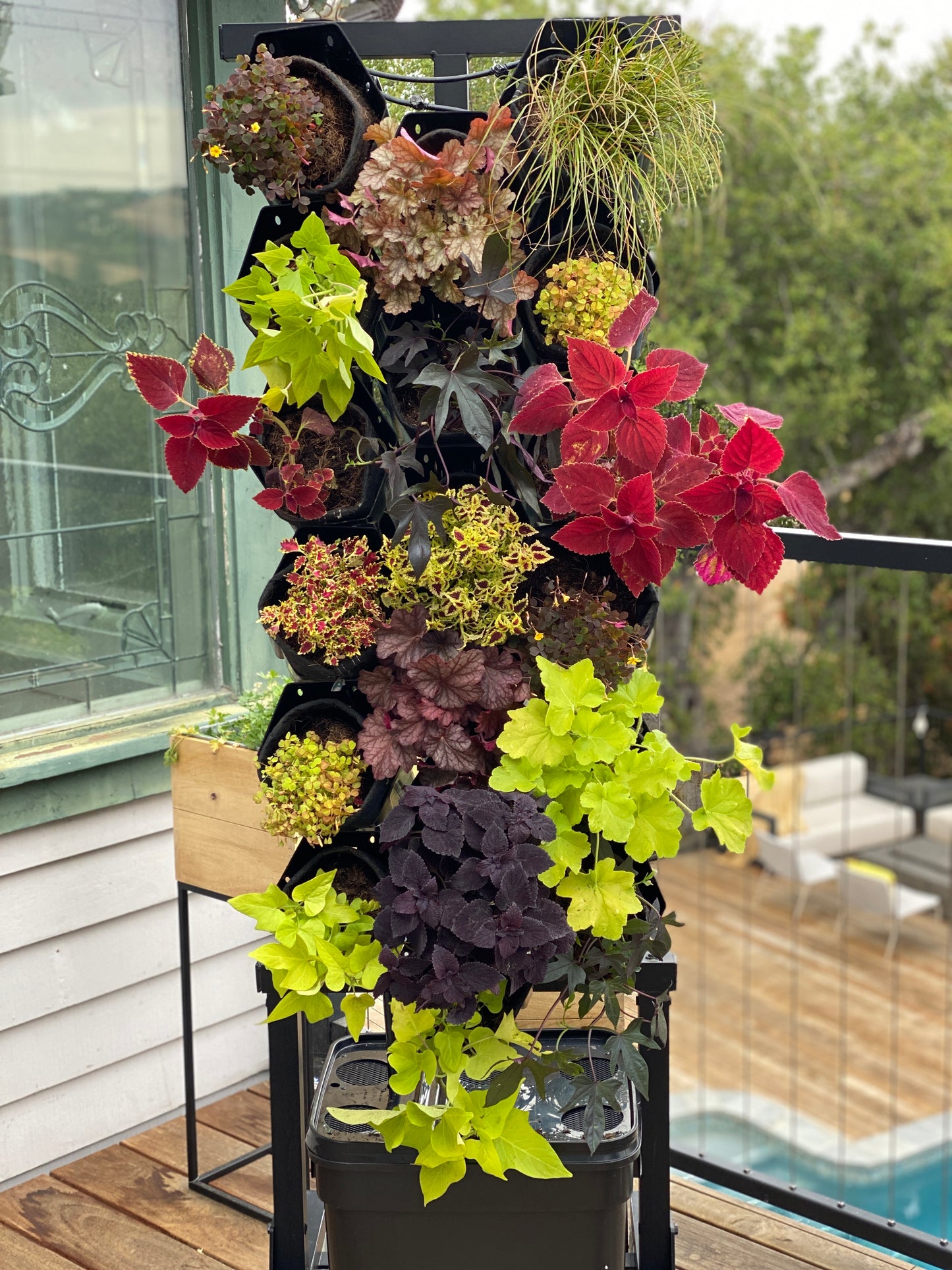 Fireside Planted Wall Bundle