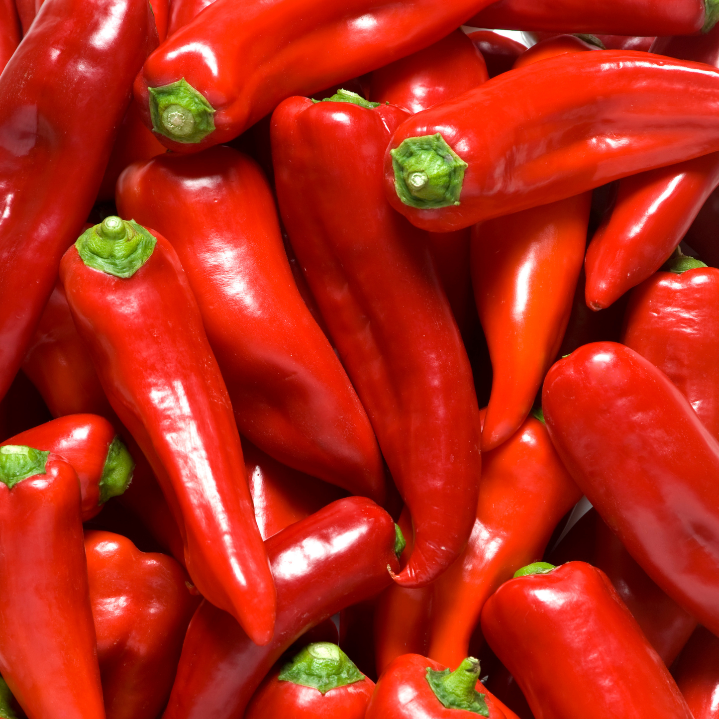 Marconi Red Pepper