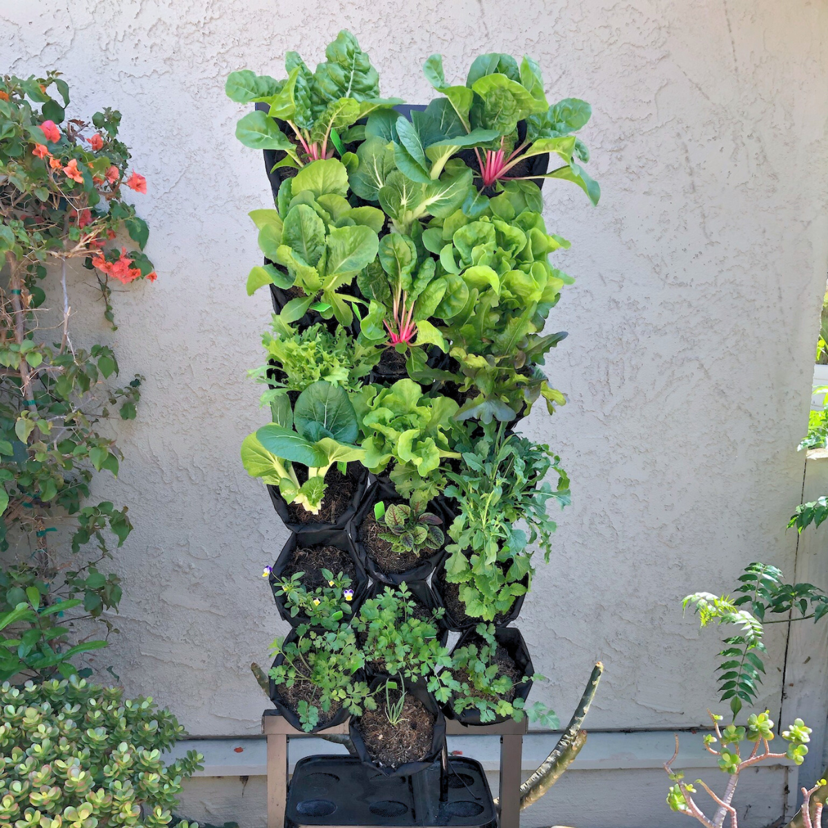 structural indoor plants Planted Wall Vertical Garden Structure with Recirculating Water System Single-Sided (18 edible plants)
