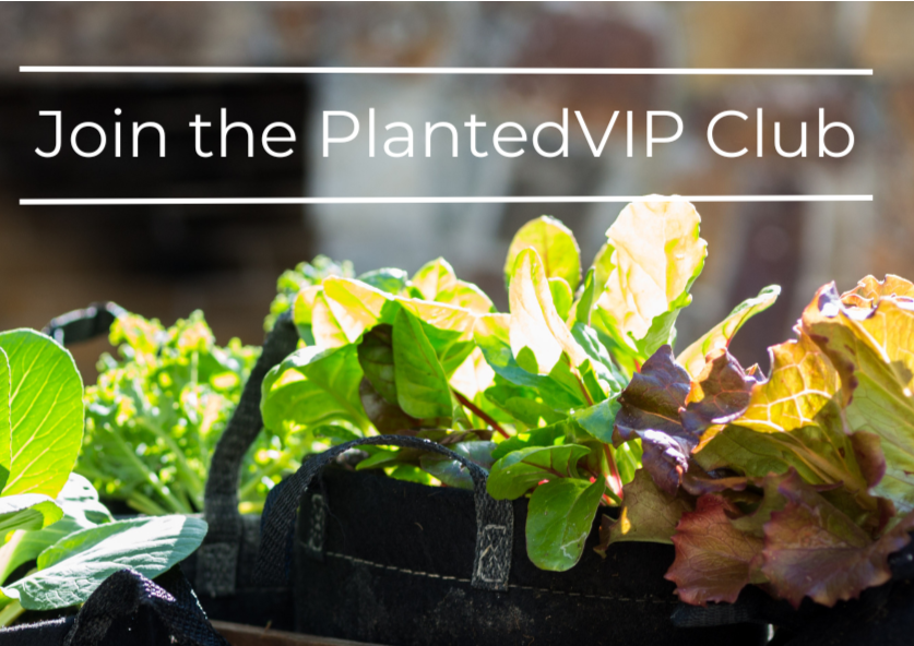 Planted VIP Club