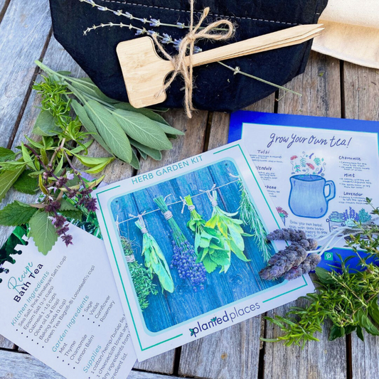 Organic Herb Garden Kit