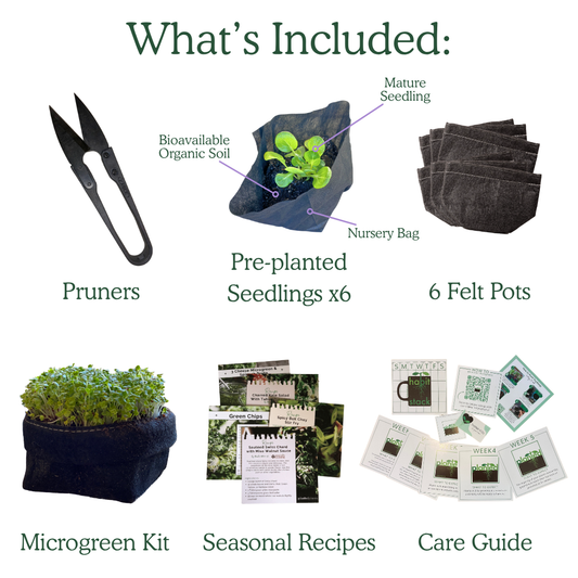 The Seasonal Garden Kit