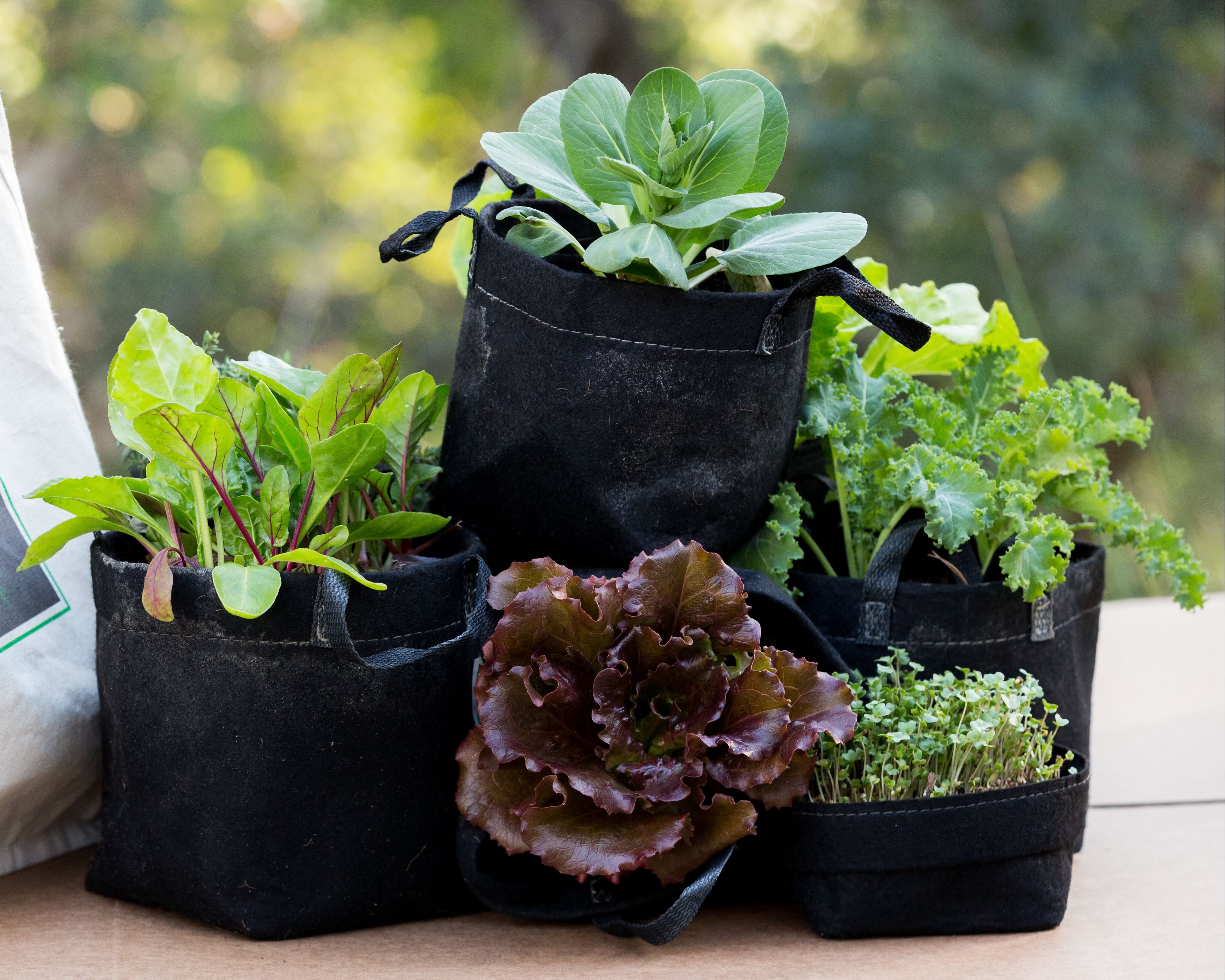 Seasonal Garden Kit – Planted Places