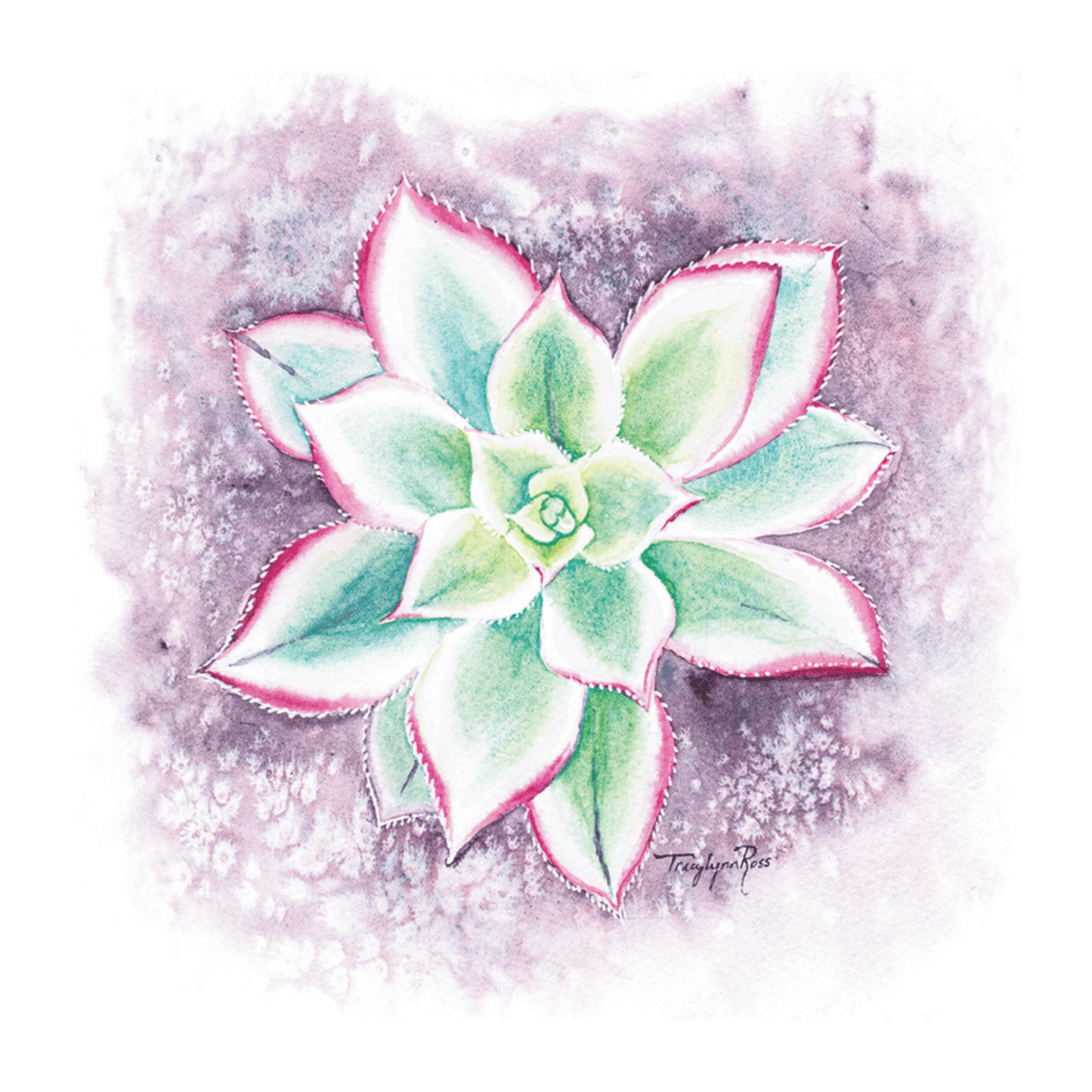 Succulent Notecard Set - 10 cards (2 x 5 designs)
