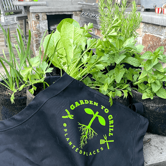 Garden to Grill Grow Kit + Apron