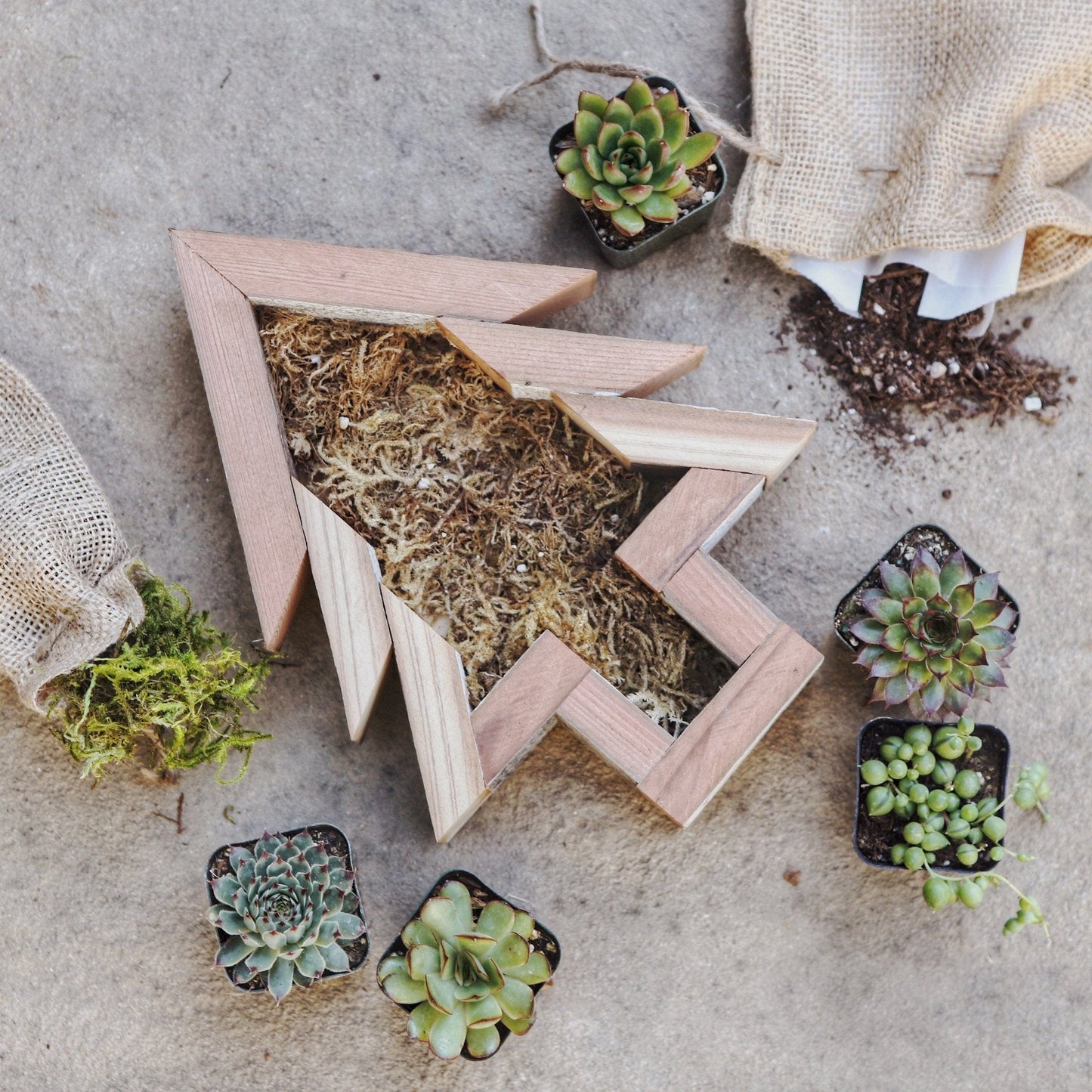 Tree Wood Frame Kit Contents - Medium