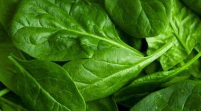 Why We Love Spinach More Than Popeye