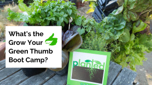 Learn to Grow Food in the Grow Your Green Thumb Boot Camp