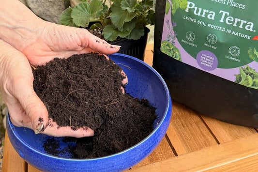 a hand showing worms in a worm casting organic farm.