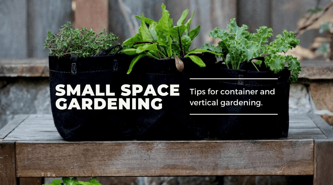 Four Tips for Small Space Gardening