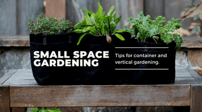 Four Tips for Small Space Gardening
