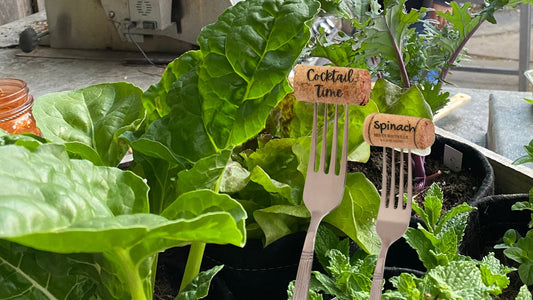 Cork Plants Label on Forks in Plants