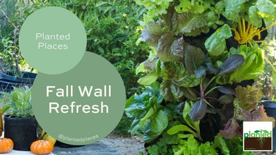 Time for a Fall Wall Clean-Up!