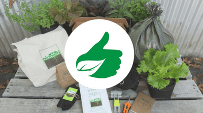 Do You Really Need a Green Thumb to Grow Food?