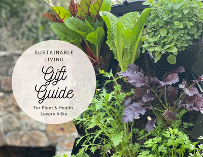 Planted Places 2022 Holiday Gift Guide