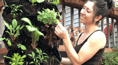 Top 5 Reasons to Love Fall Gardening with Kaylee Vaughn