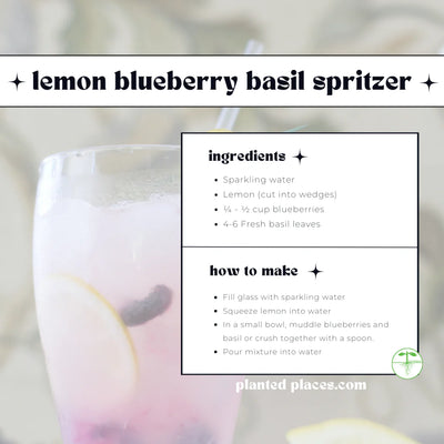 Lemon Basil Spritzer