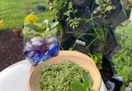 Herbed-infused sugar with herbs on the side, next to a glass of drink garnished with a sugar-coated rim