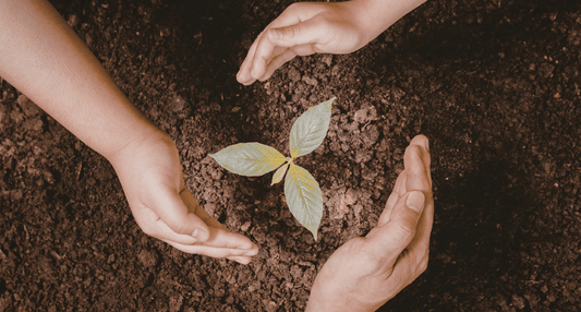 A high-angle view of three pairs of hands cupping a green seedling in dark, fertile soil, representing the generational care needed to build a healthy soil microbiome.