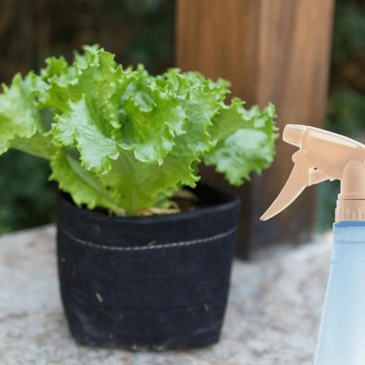 A DIY natural insect repellent bottle placed next to a healthy plant in a garden