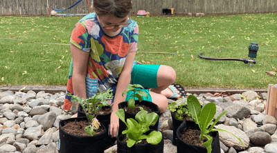 A Busy Mom Learns How to Container Garden with Planted Places