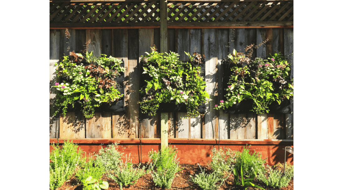 Impress your Guests at your next Summer BBQ with a Vertical Garden Built by You!