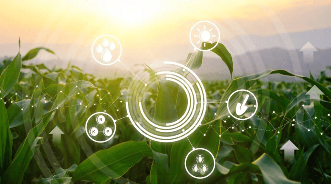 How to Practice  Regenerative Agriculture at Home