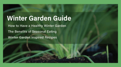 Our Winter Garden Guide Is Here