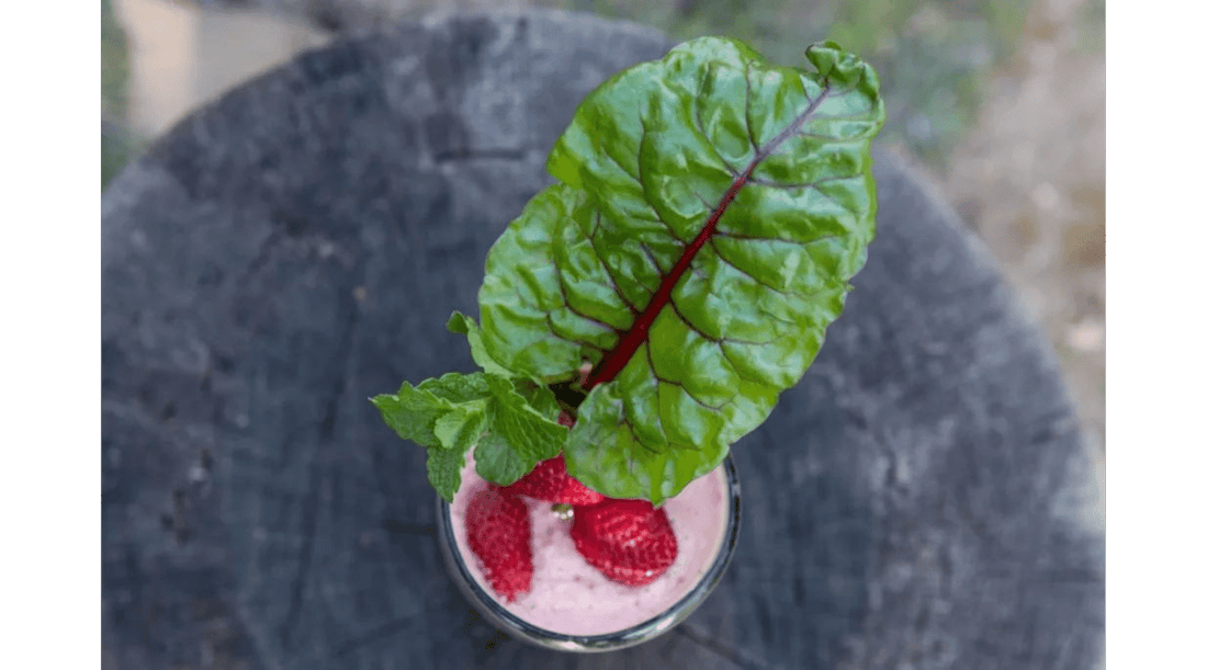 How to Easily Grow Your Own Food with Planted Places