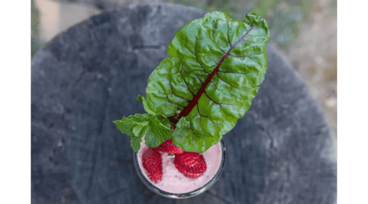 How to Easily Grow Your Own Food with Planted Places