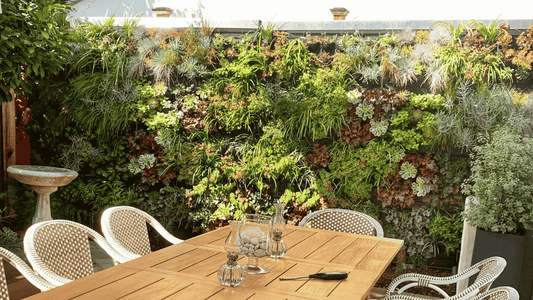 picture of an outdoor deck with gardens surrounding an entertaining space.