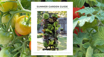 Our Summer Garden Guide Is Here