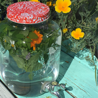 How to Make Herb Sun Tea